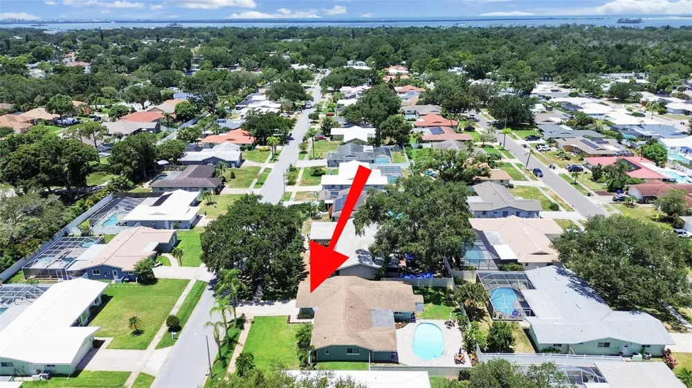 1110 MCLEAN STREET Dunedin, FL 34698