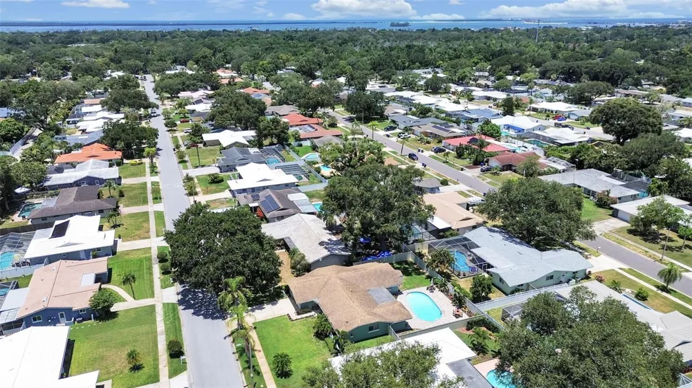 1110 MCLEAN STREET Dunedin, FL 34698