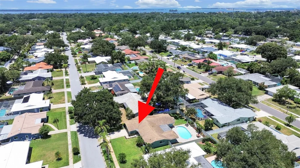 1110 MCLEAN STREET Dunedin, FL 34698