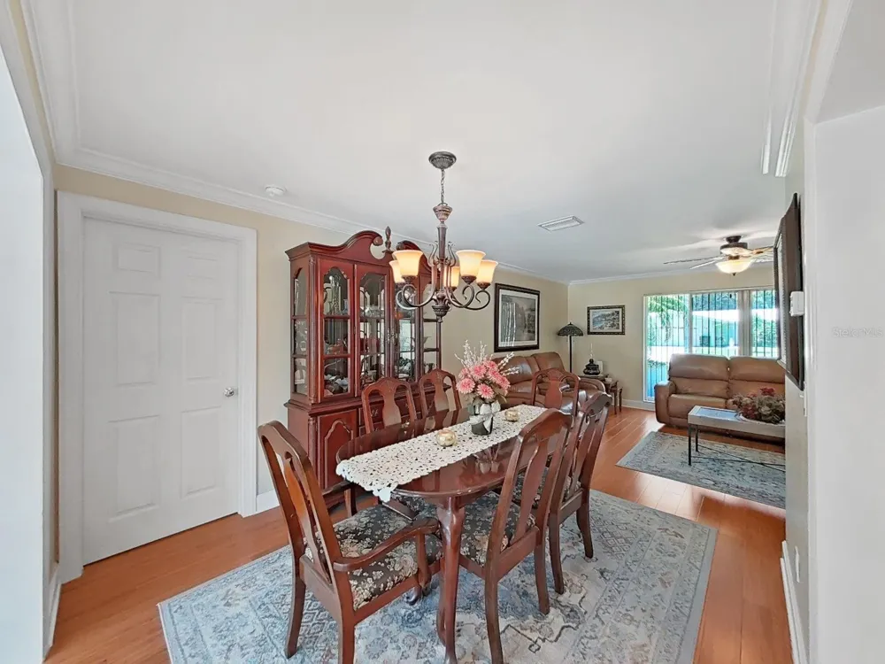 1110 MCLEAN STREET Dunedin, FL 34698