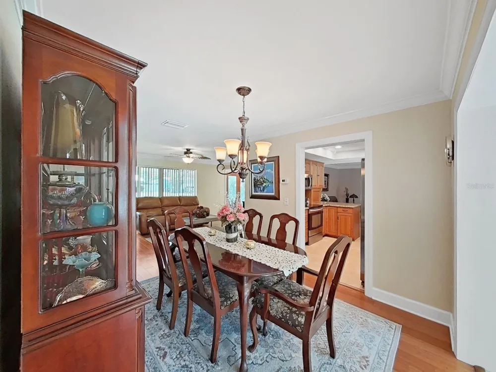 1110 MCLEAN STREET Dunedin, FL 34698