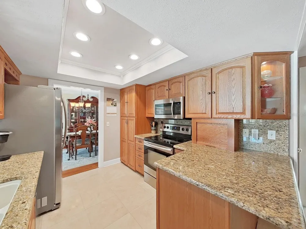 1110 MCLEAN STREET Dunedin, FL 34698