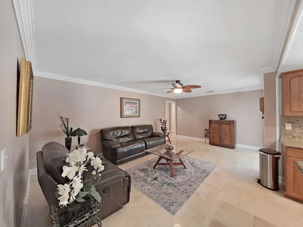 1110 MCLEAN STREET Dunedin, FL 34698