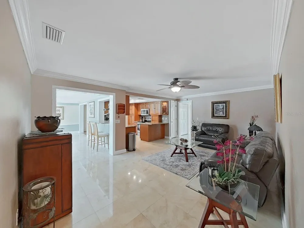 1110 MCLEAN STREET Dunedin, FL 34698