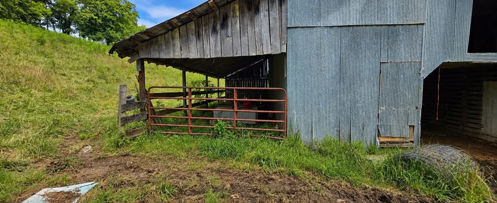 2039 Blackburn Hollow Rd Cornersville, TN 37047