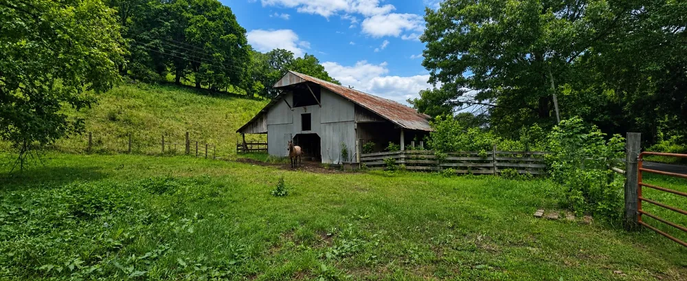 2039 Blackburn Hollow Rd Cornersville, TN 37047