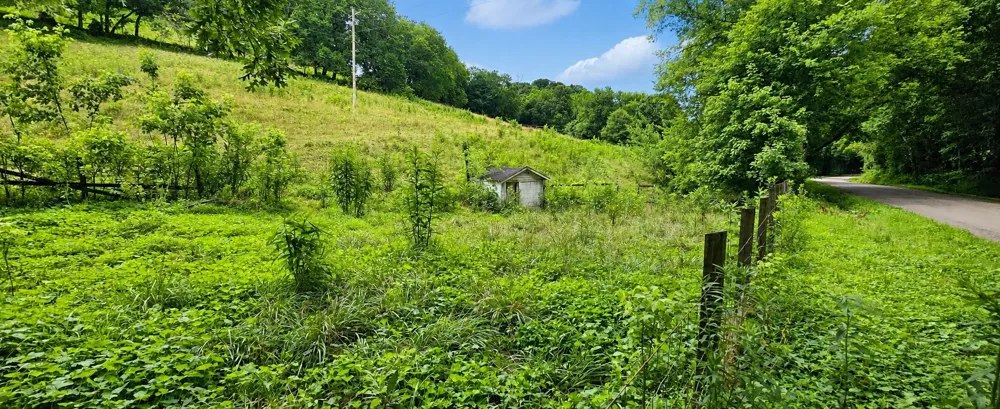 2039 Blackburn Hollow Rd Cornersville, TN 37047