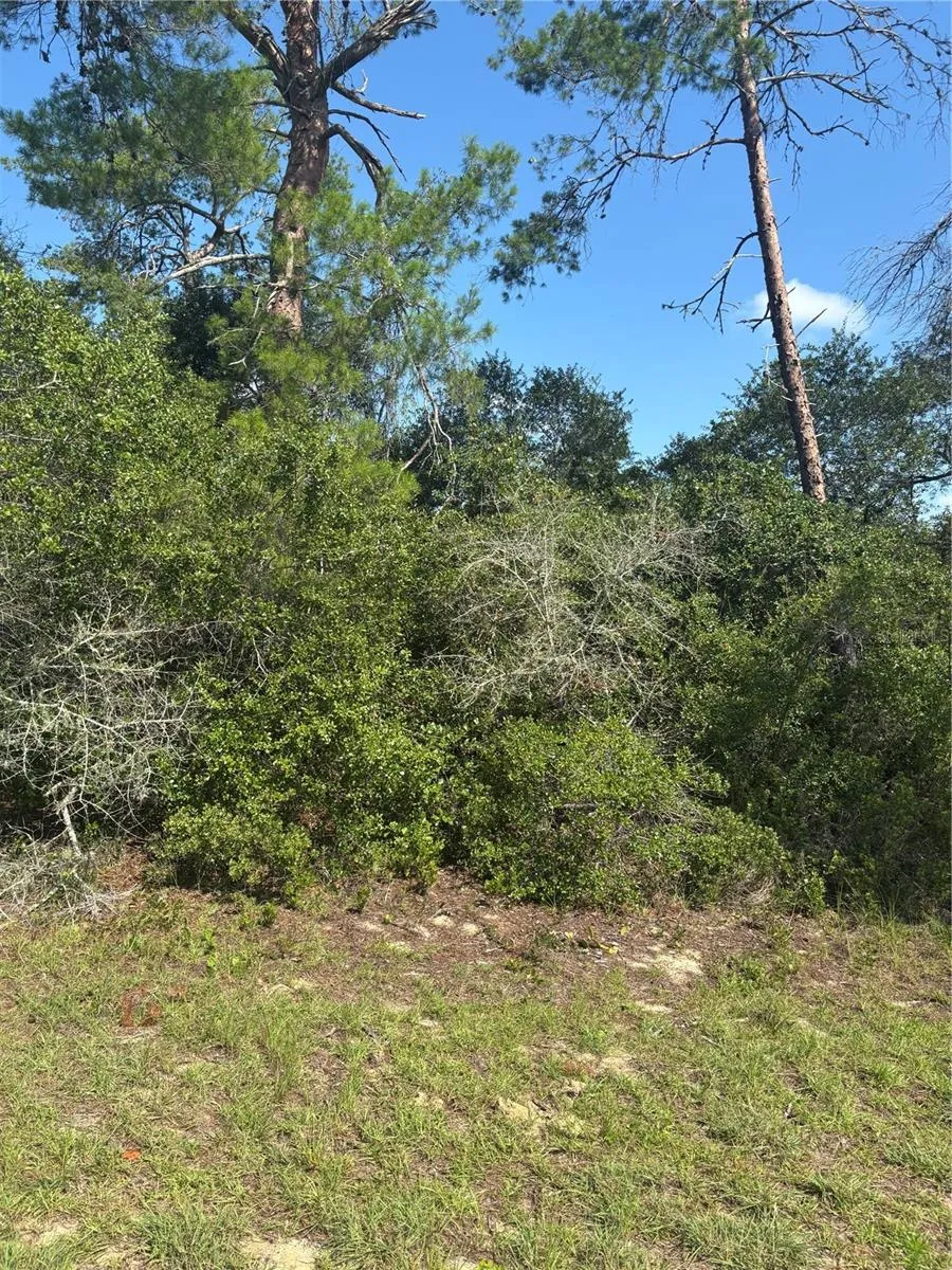 16698 SW 21ST CIRCLE ocala, FL 34473