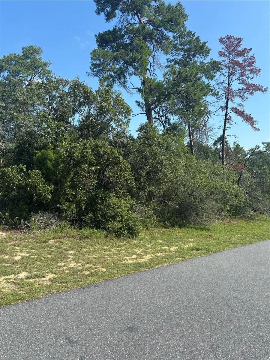 16698 SW 21ST CIRCLE ocala, FL 34473
