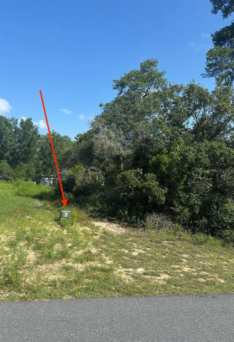 16698 SW 21ST CIRCLE ocala, FL 34473