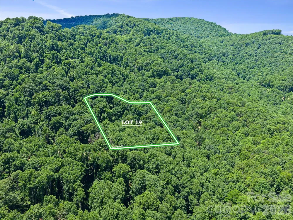9999 Lovebird Lane #19 Candler, NC 28715