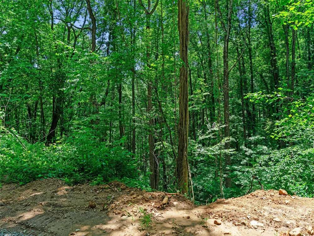 9999 Lovebird Lane #19 Candler, NC 28715