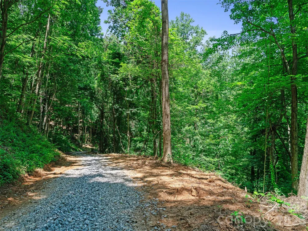 9999 Lovebird Lane #19 Candler, NC 28715