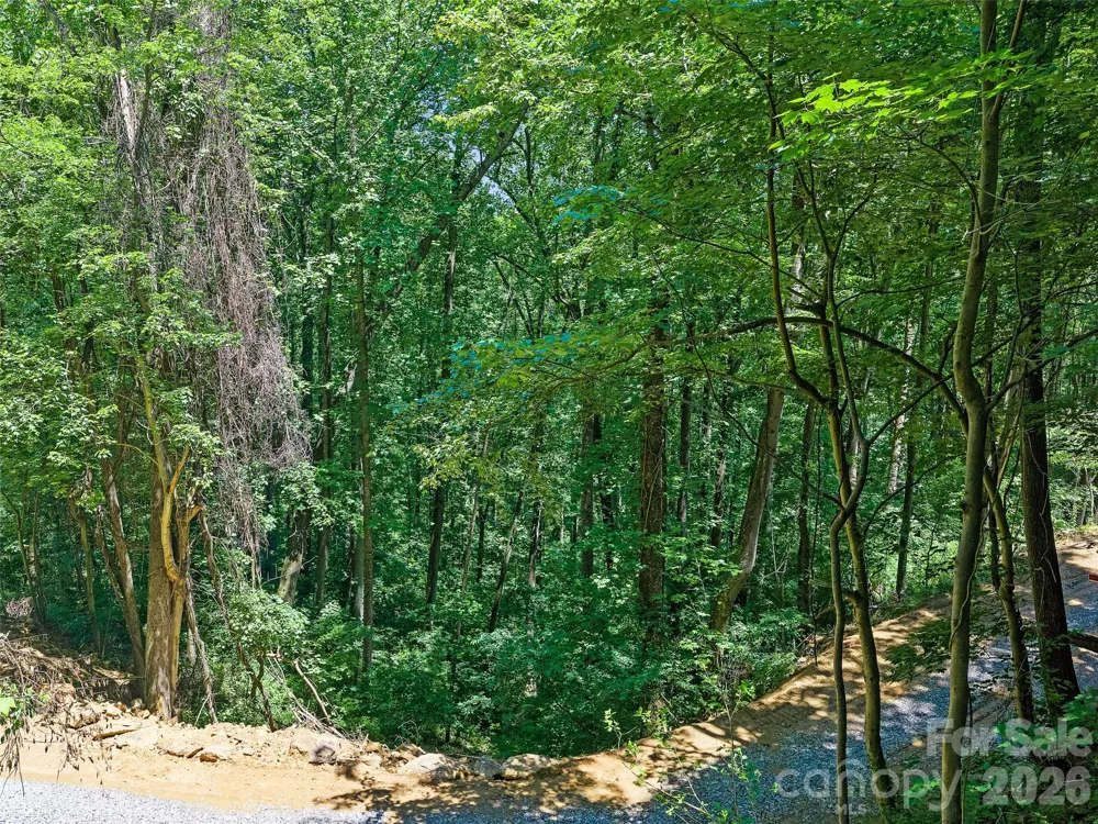 9999 Lovebird Lane #19 Candler, NC 28715