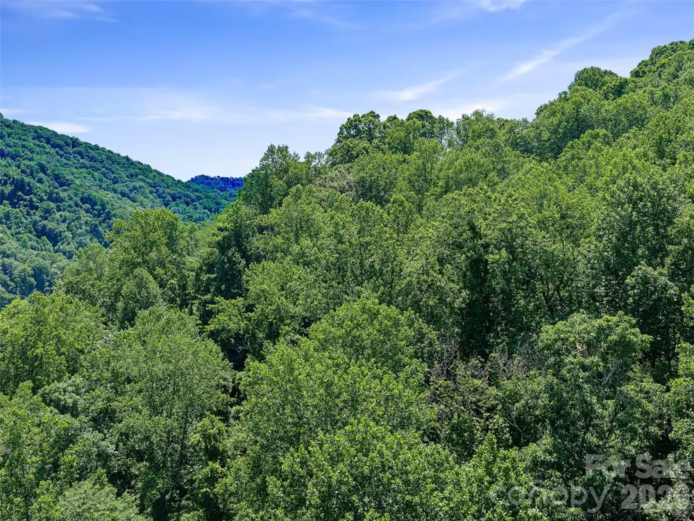 9999 Lovebird Lane #19 Candler, NC 28715