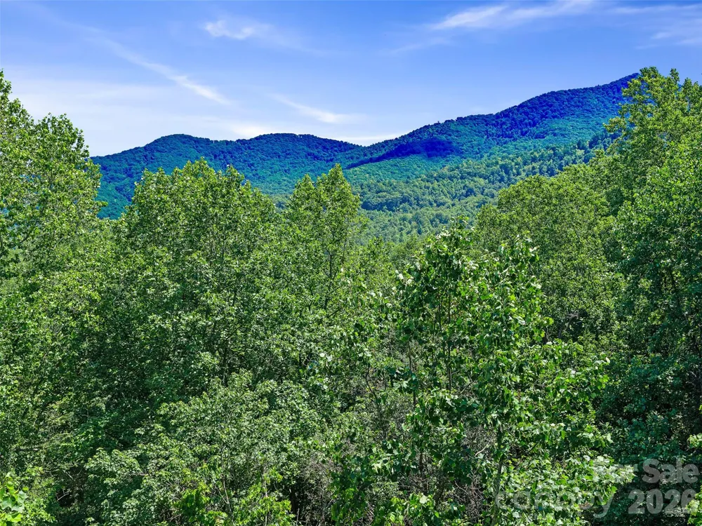 9999 Lovebird Lane #19 Candler, NC 28715