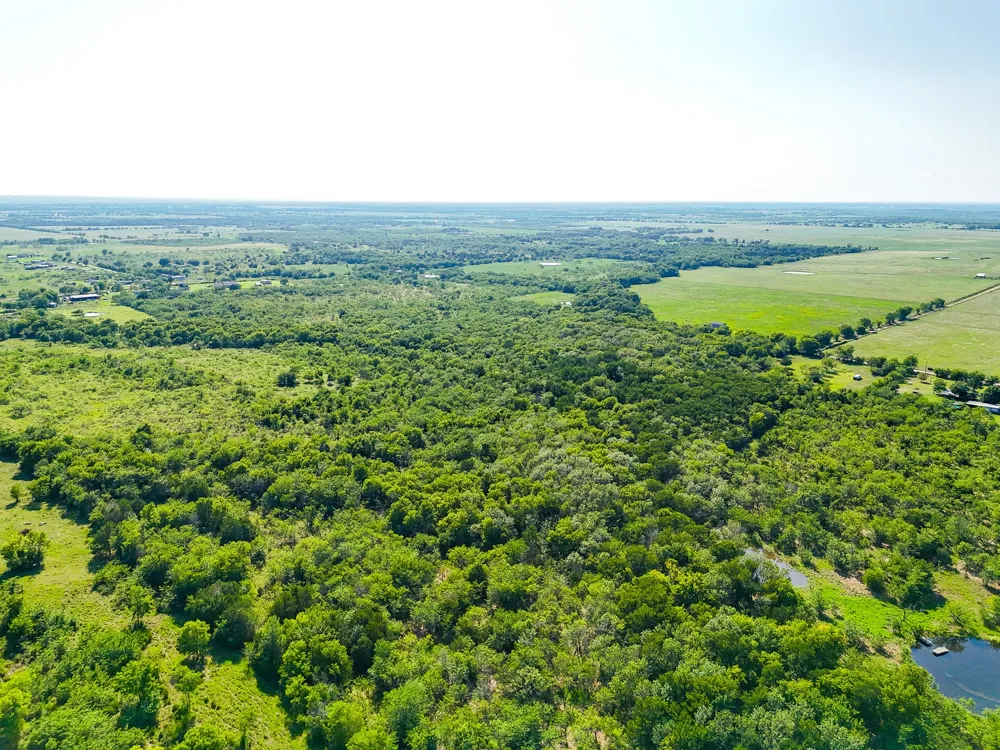 NE CR 2035 Kerens, TX 75144