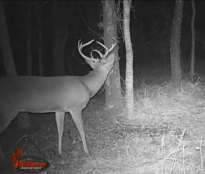 NE CR 2035 Kerens, TX 75144