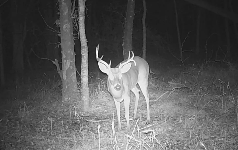 NE CR 2035 Kerens, TX 75144