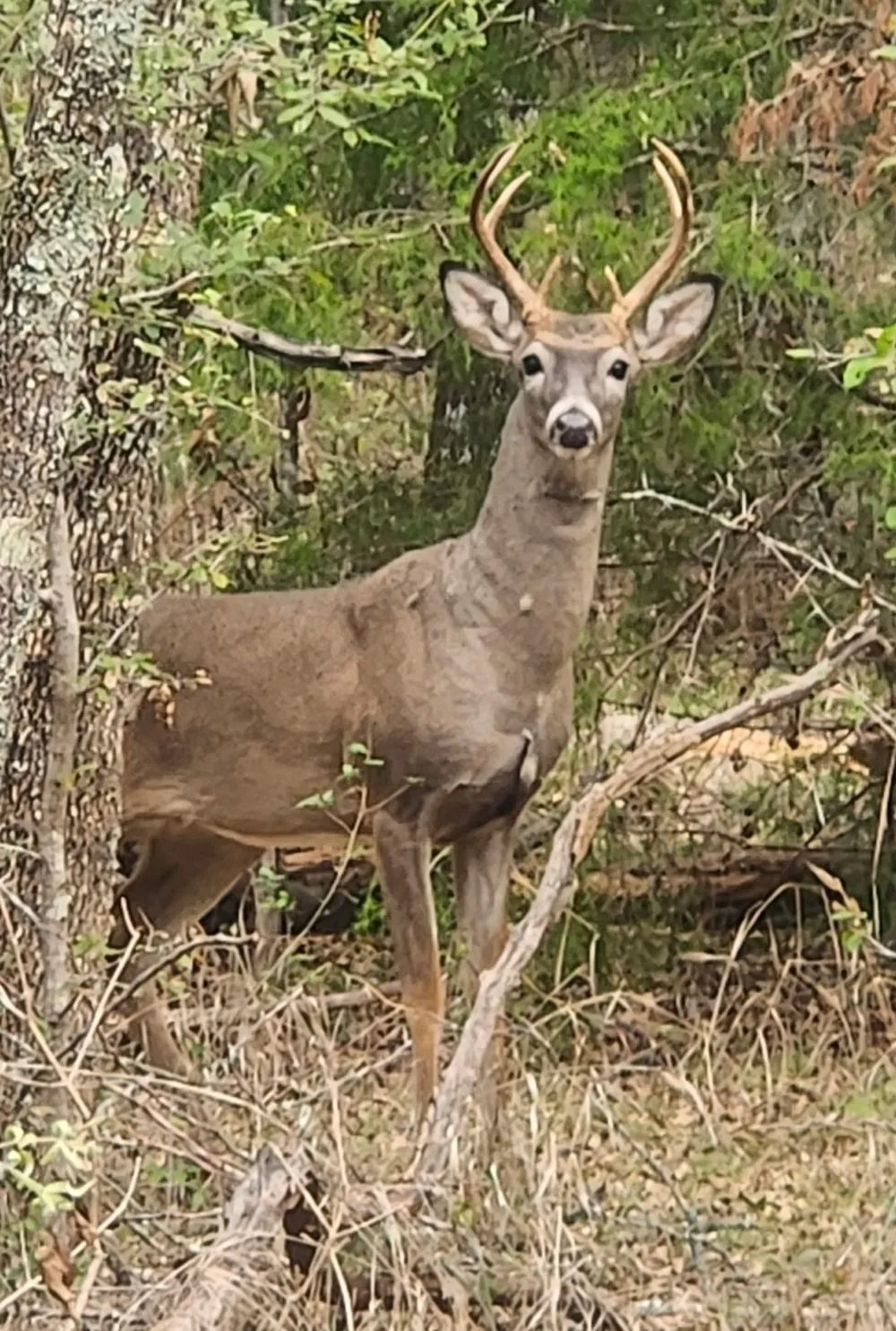 NE CR 2035 Kerens, TX 75144