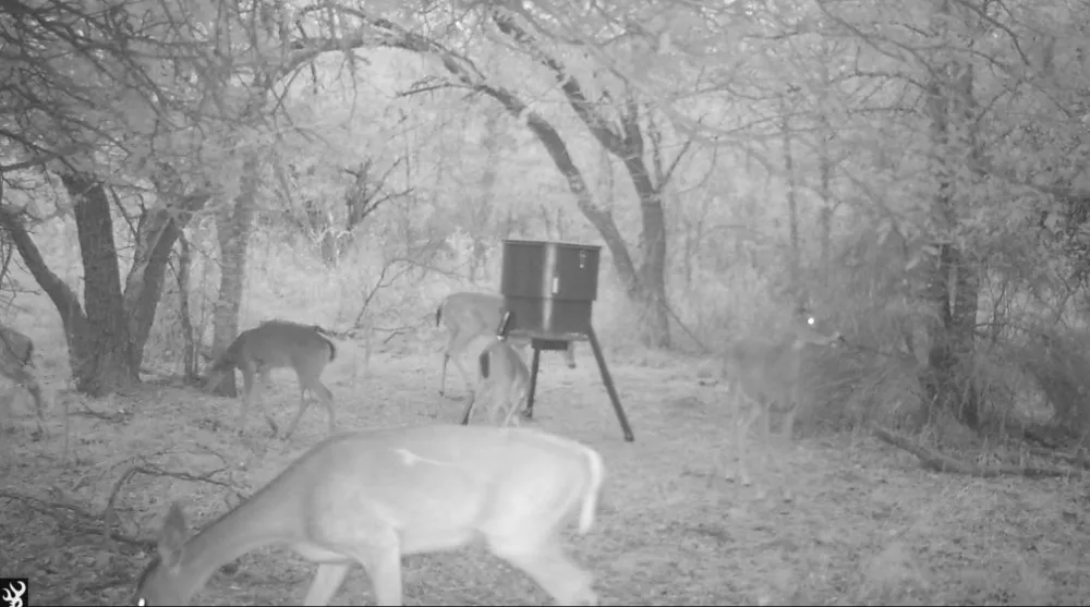 NE CR 2035 Kerens, TX 75144