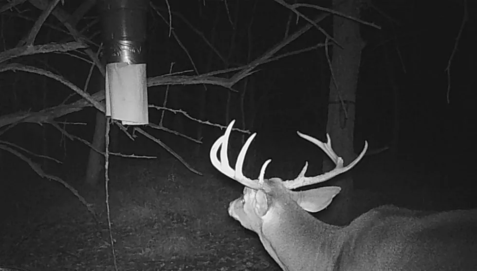 NE CR 2035 Kerens, TX 75144
