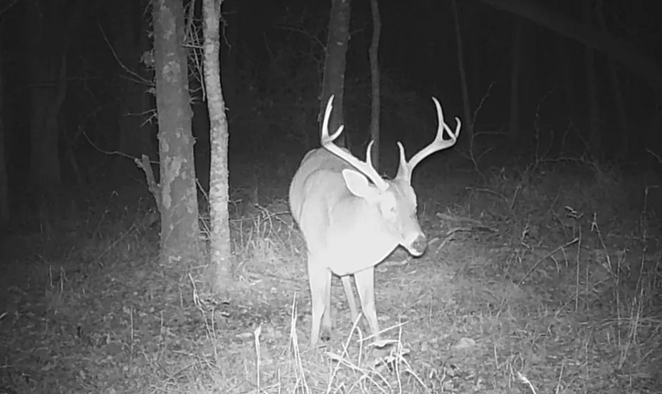 NE CR 2035 Kerens, TX 75144