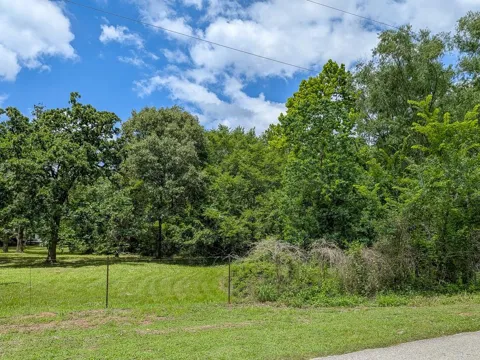 19 County Road 302