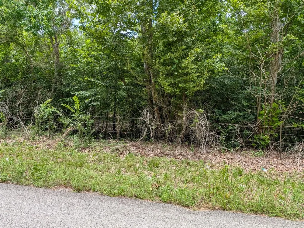 19 County Road 302 Navasota, TX 77868