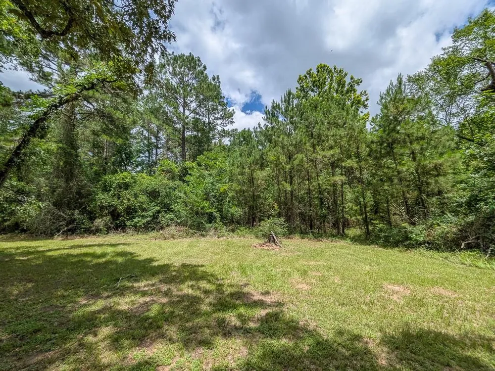 19 County Road 302 Navasota, TX 77868