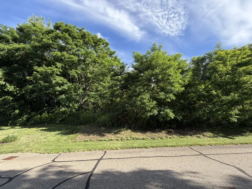 15295 Alister MacKenzie Avenue Augusta, MI 49012