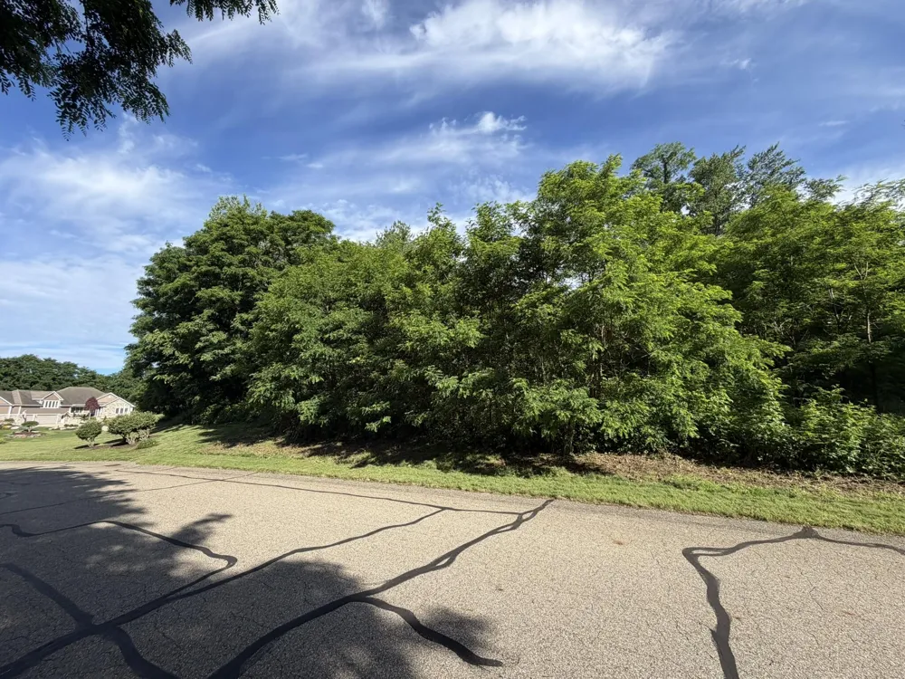 15295 Alister MacKenzie Avenue Augusta, MI 49012