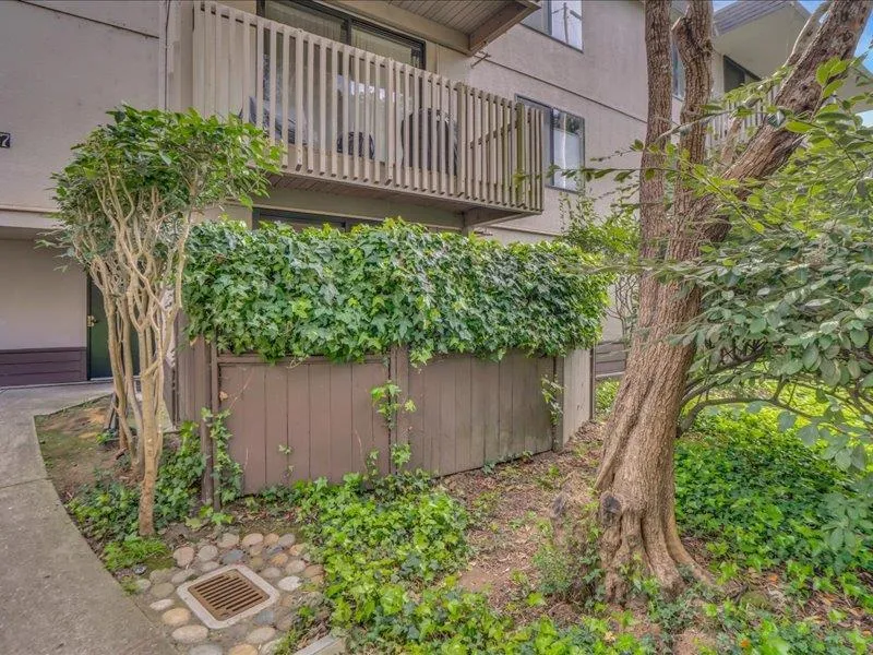 7109 Shelter Creek Lane San Bruno, CA 94066