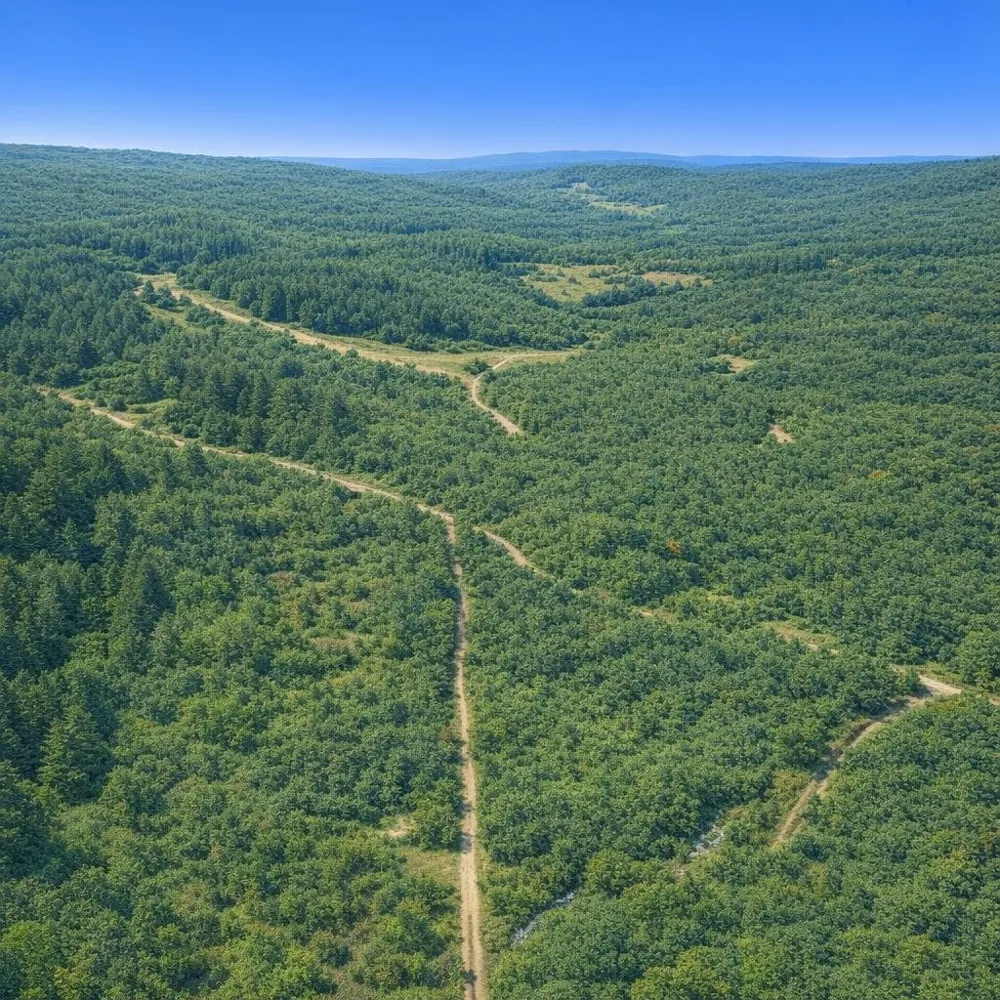 0 Arl Bailey Road Finger, TN 38334