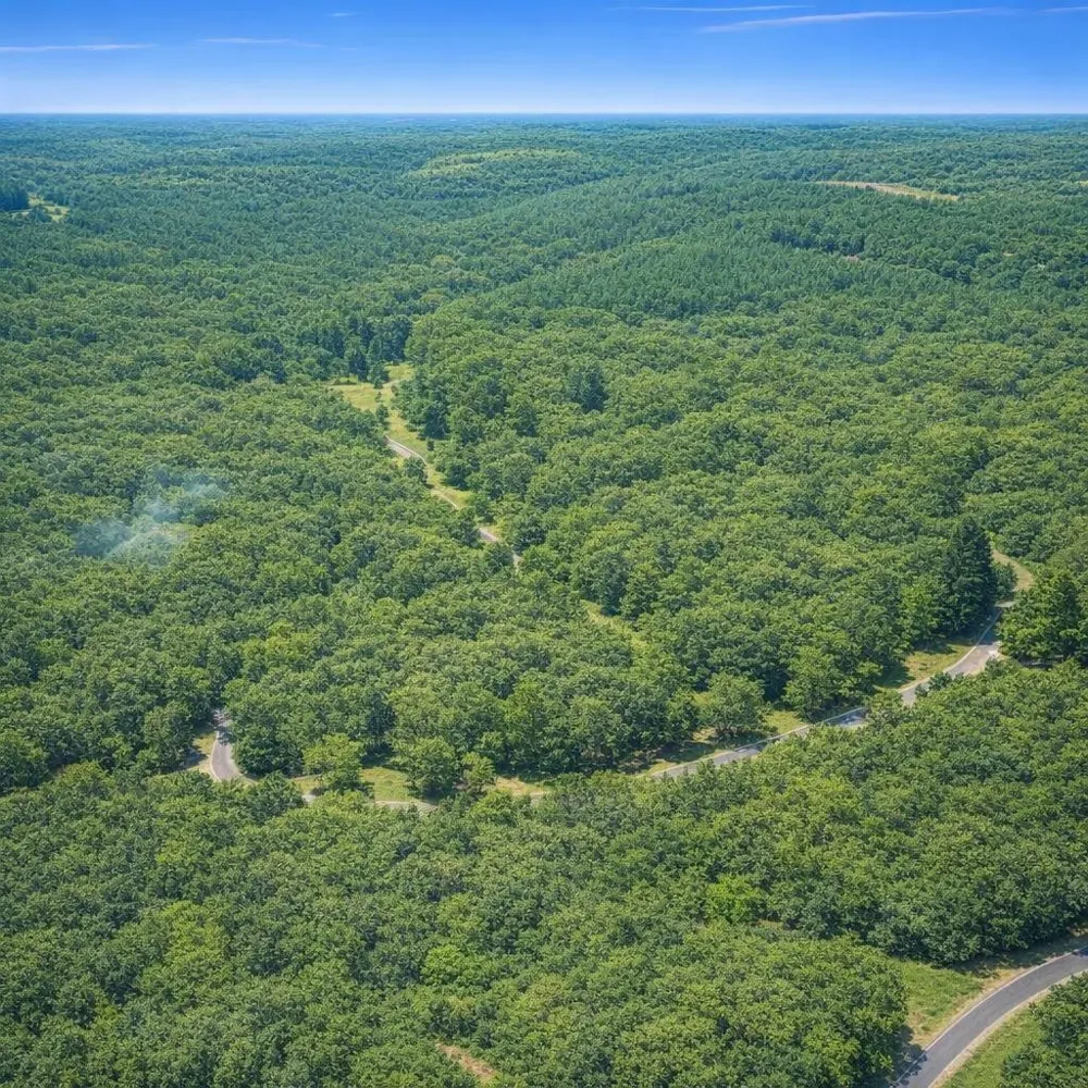 0 Arl Bailey Road Finger, TN 38334