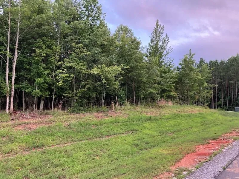 174 Volunteer Street Jasper, TN 37347