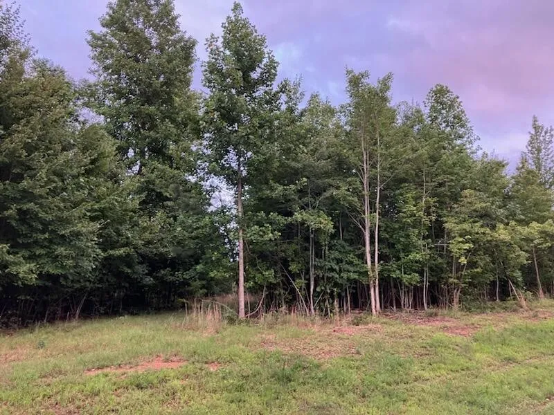 174 Volunteer Street Jasper, TN 37347