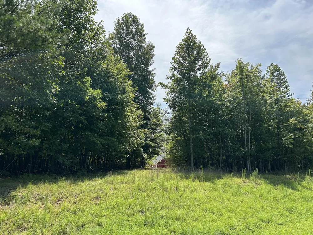 174 Volunteer Street Jasper, TN 37347