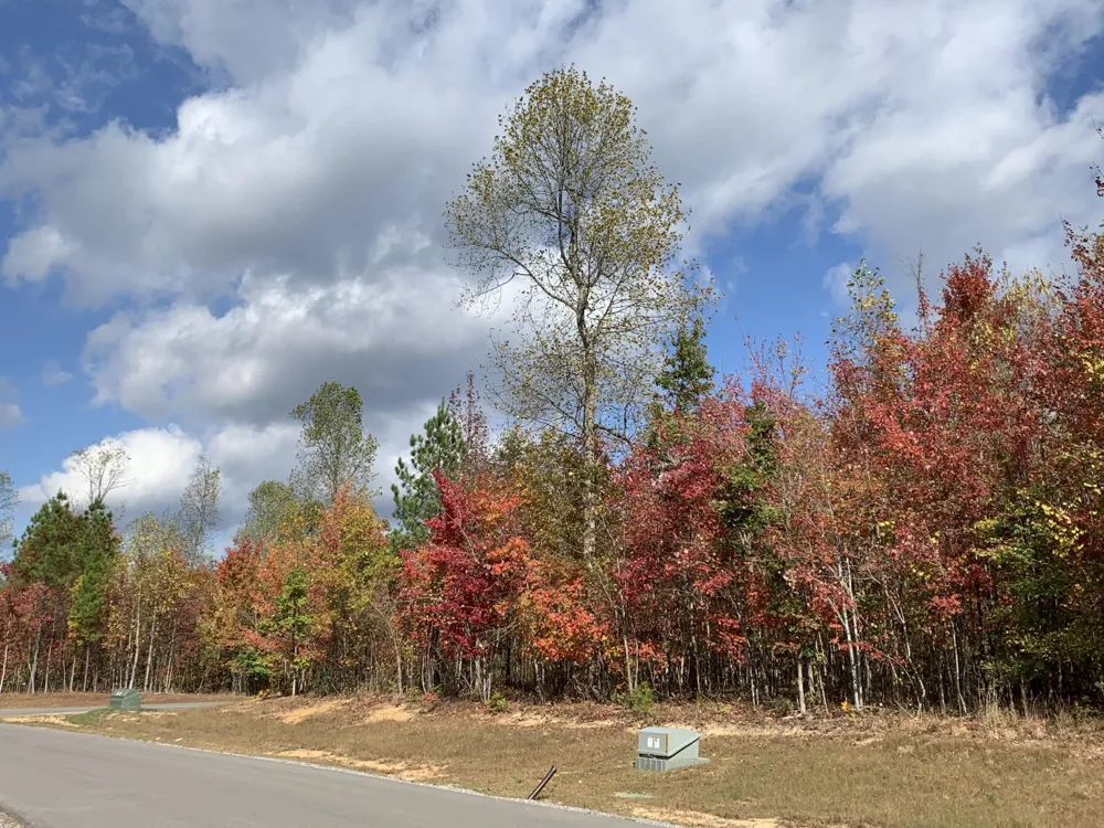 174 Volunteer Street Jasper, TN 37347