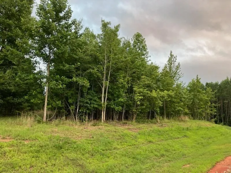 174 Volunteer Street Jasper, TN 37347