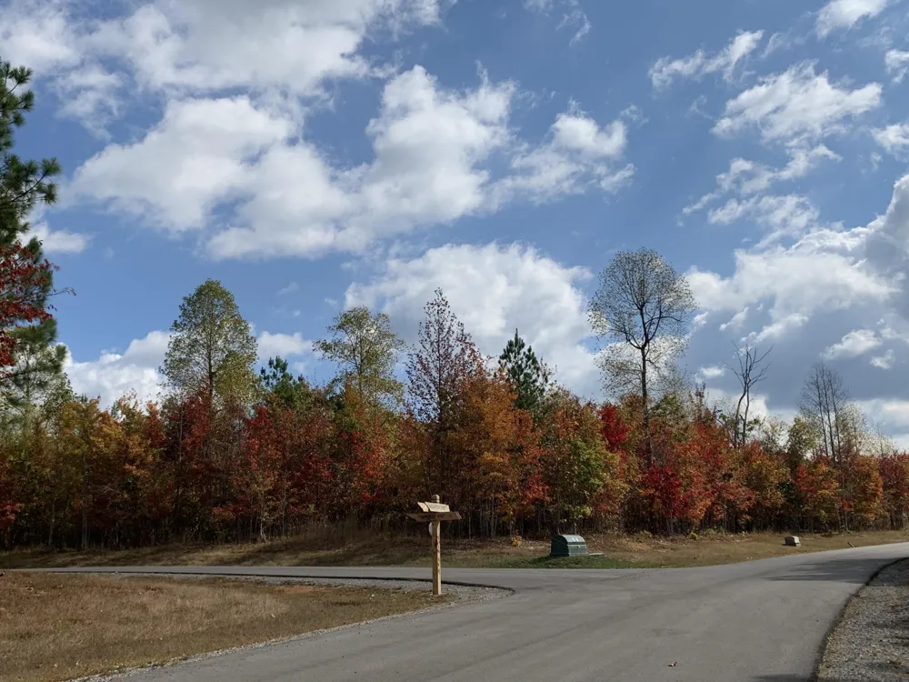 174 Volunteer Street Jasper, TN 37347