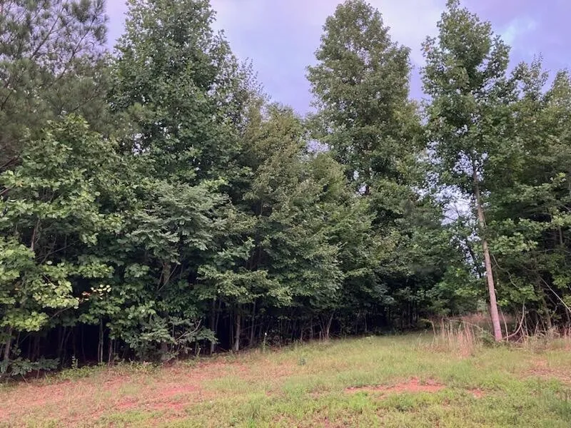 174 Volunteer Street Jasper, TN 37347