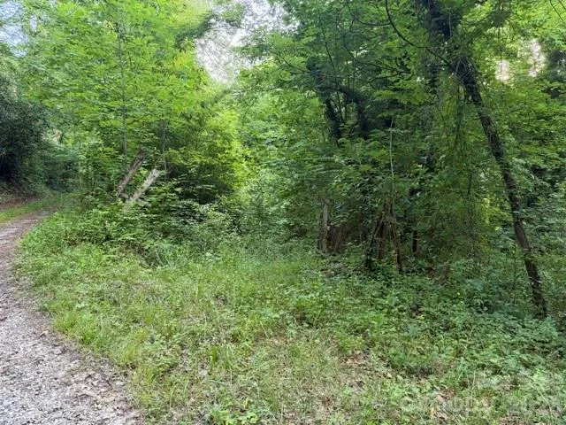 00 Heavenly View Drive Sylva, NC 28779