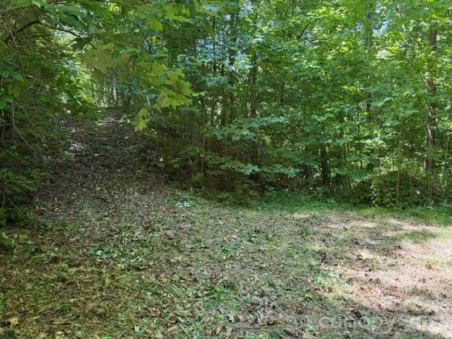 00 Heavenly View Drive Sylva, NC 28779