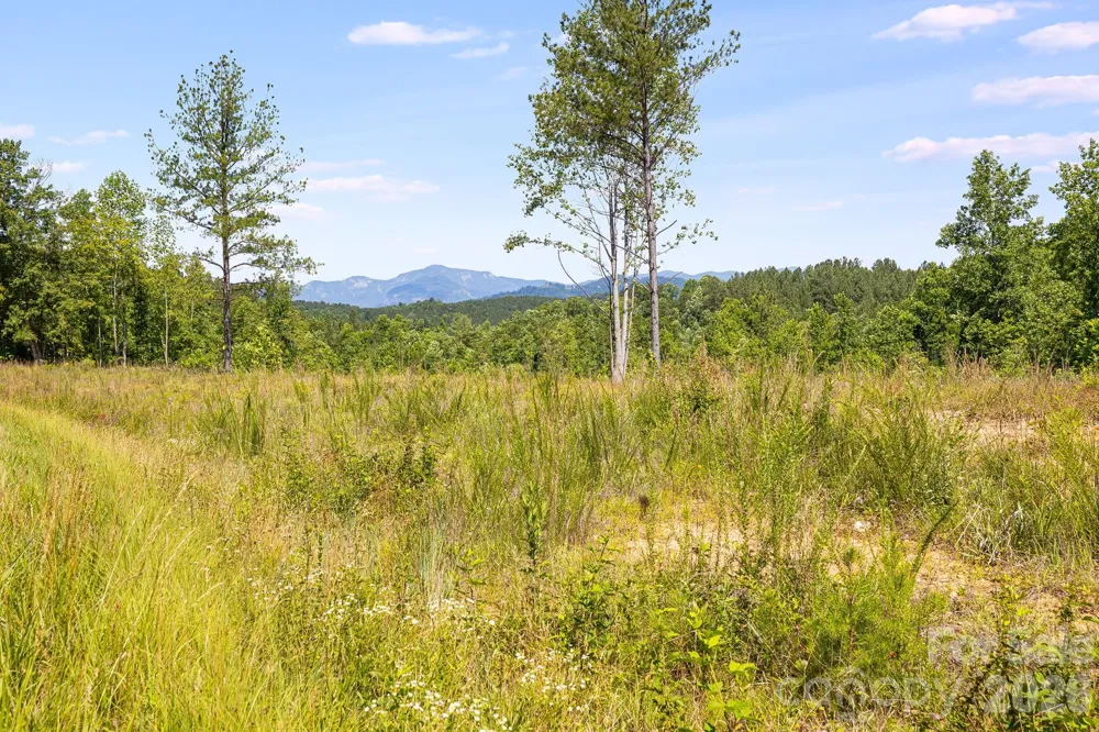 Lot #2 Clark Road Rutherfordton, NC 28139