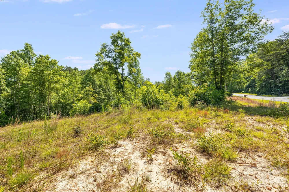 Lot #2 Clark Road Rutherfordton, NC 28139