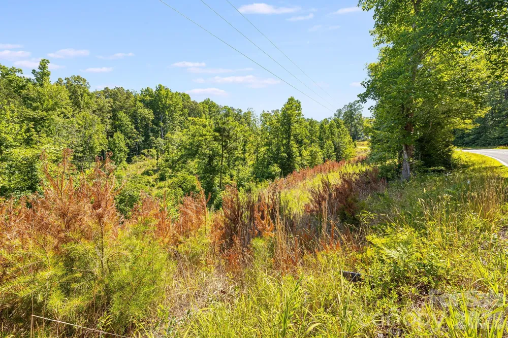 Lot #2 Clark Road Rutherfordton, NC 28139