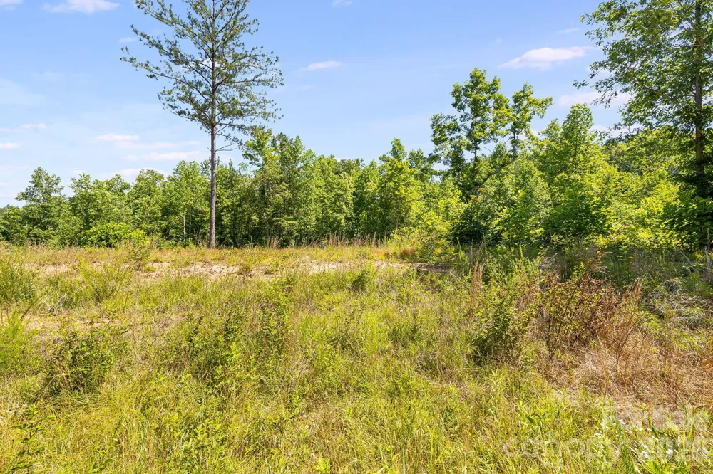 Lot #2 Clark Road Rutherfordton, NC 28139