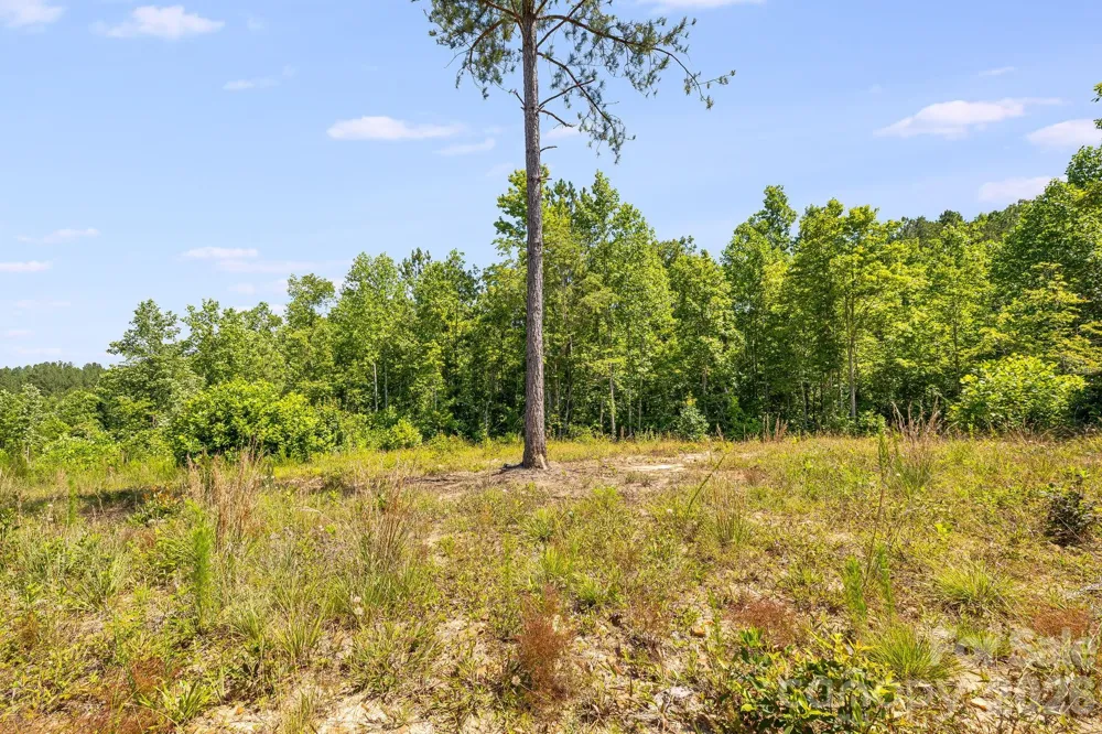 Lot #2 Clark Road Rutherfordton, NC 28139