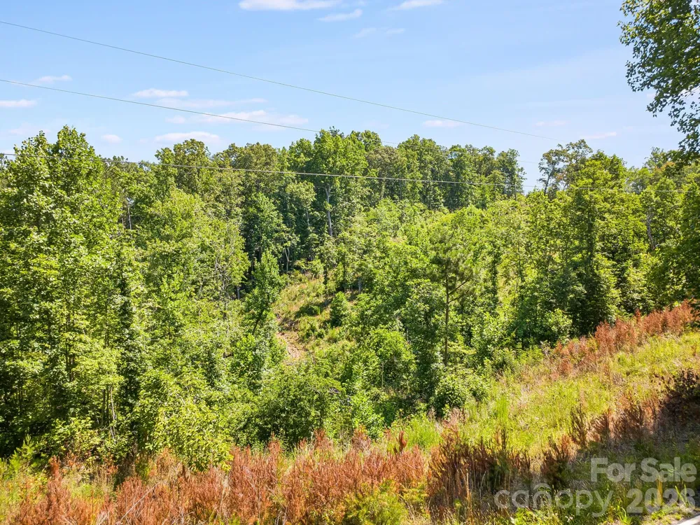Lot #2 Clark Road Rutherfordton, NC 28139